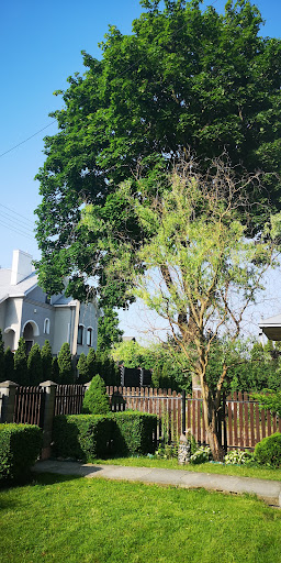 Prienai